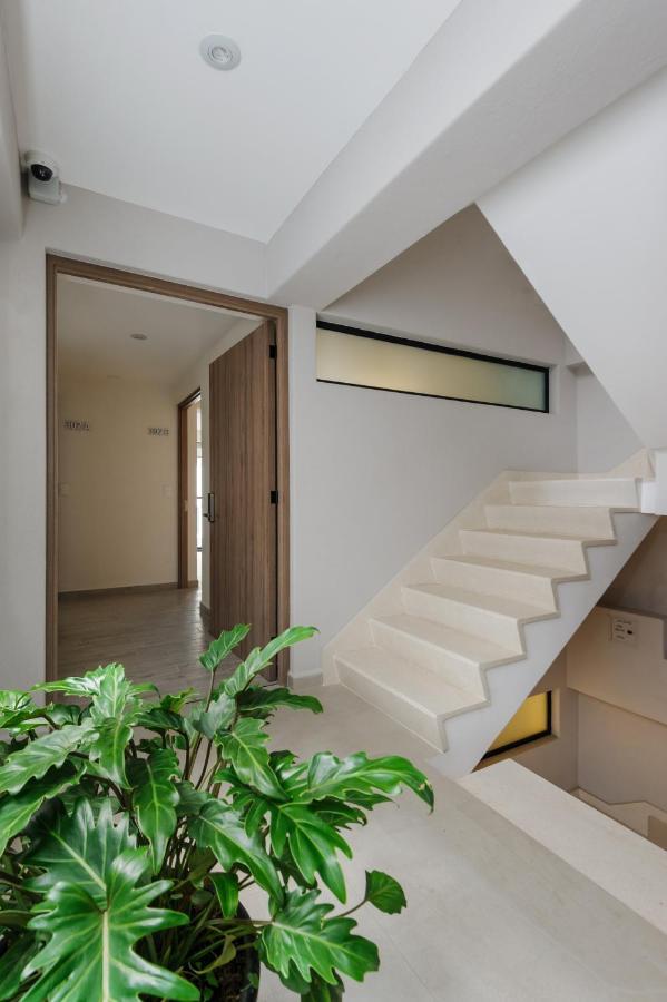 Choapan 28 - Lux Apartments In Condesa Мексико Сити Екстериор снимка